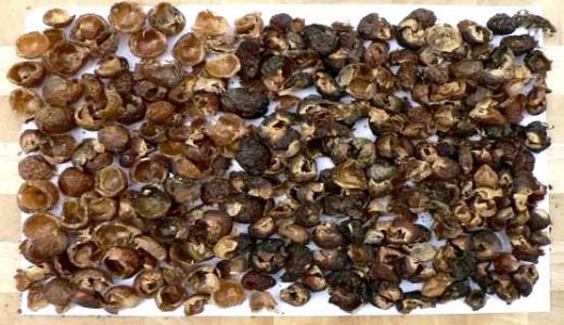 Sabun Hammaddesi Nedir?